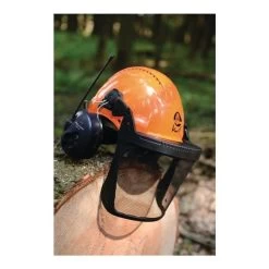 3M Forstschutzhelm G3000M, Mit Gehörschutz H31P3E Und Visier